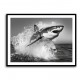 Shark Power