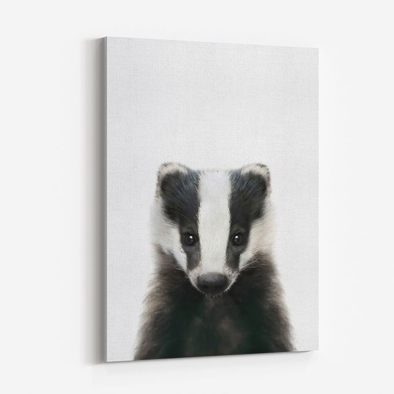 Baby Badger