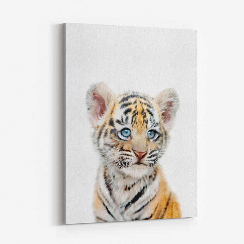 Baby Tiger