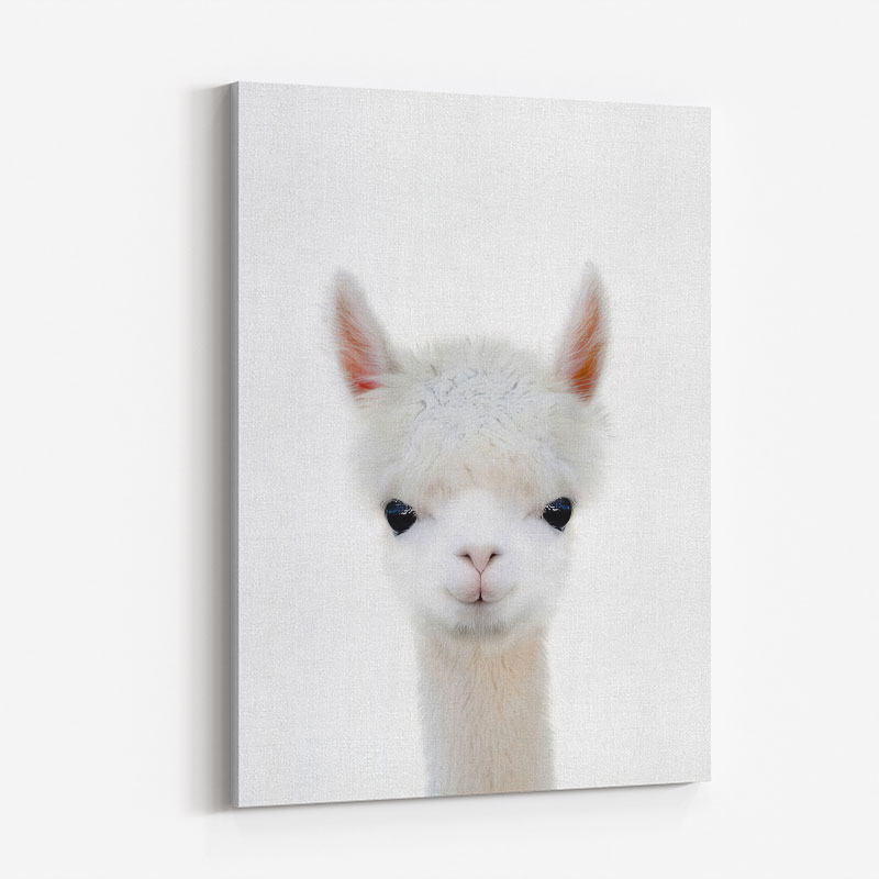 Baby Llama