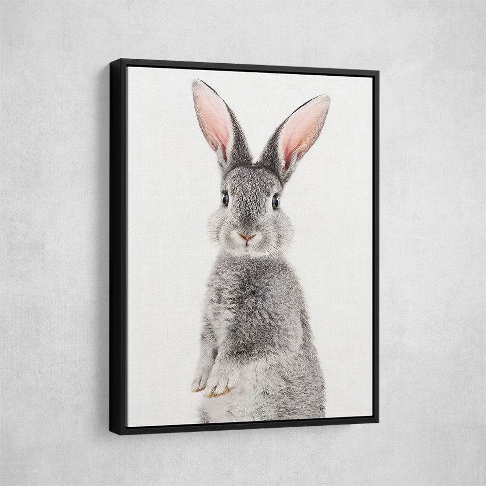 Baby Grey Rabbit