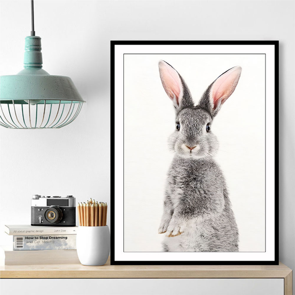 Baby Grey Rabbit