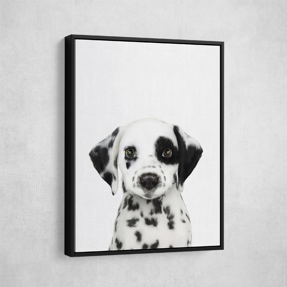 Dalmatian Puppy