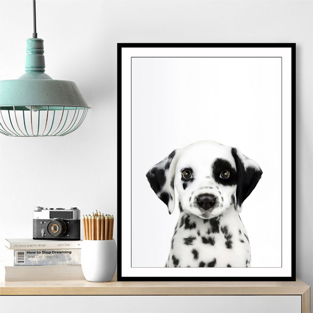 Dalmatian Puppy