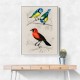 Vintage Birds