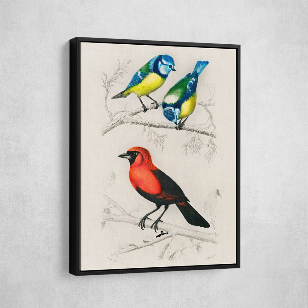Vintage Birds