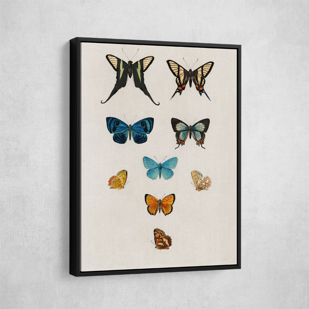 Vintage Butterflies