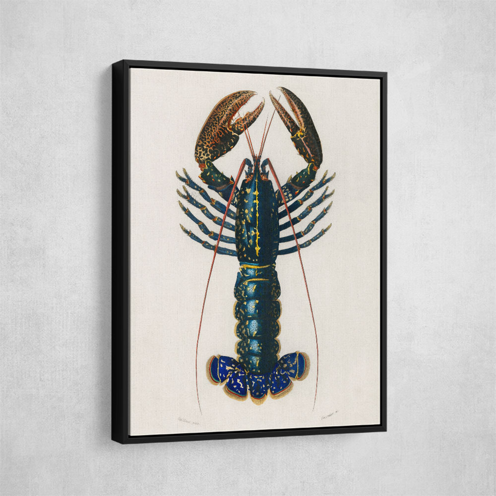 Crimson Crawfish
