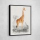 Vintage Giraffe
