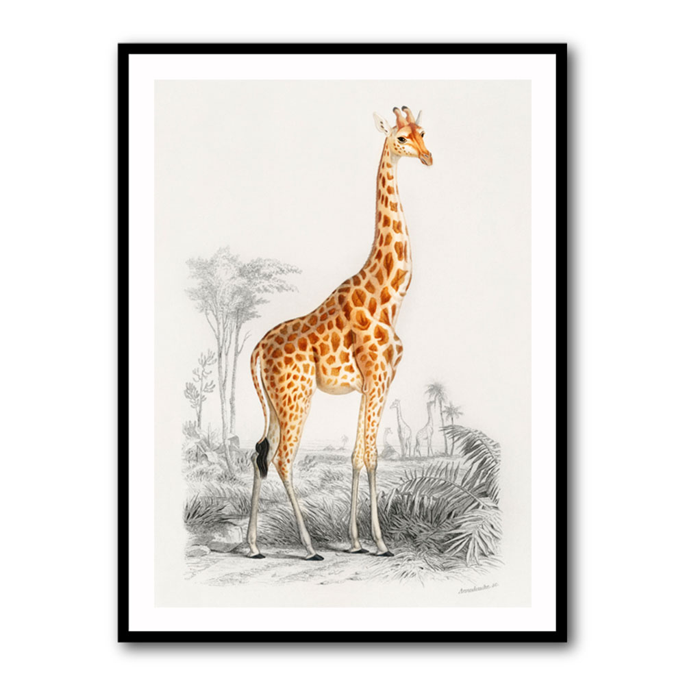 Vintage Giraffe
