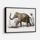 Vintage Elephant
