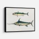 Vintage Fishes