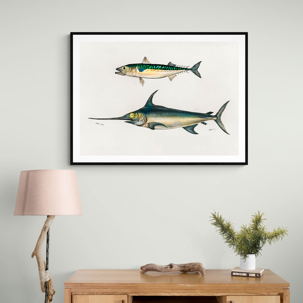 Vintage Fishes