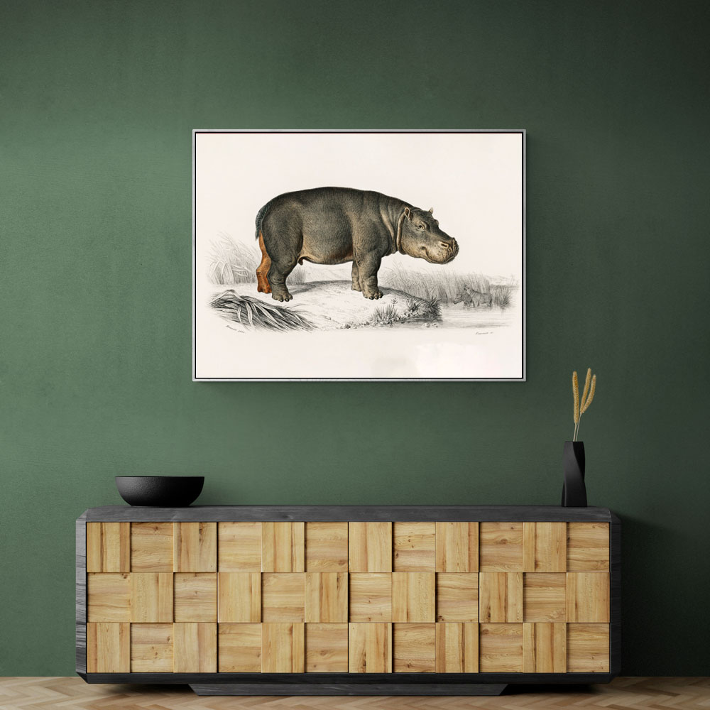 Vintage Hippopotamus