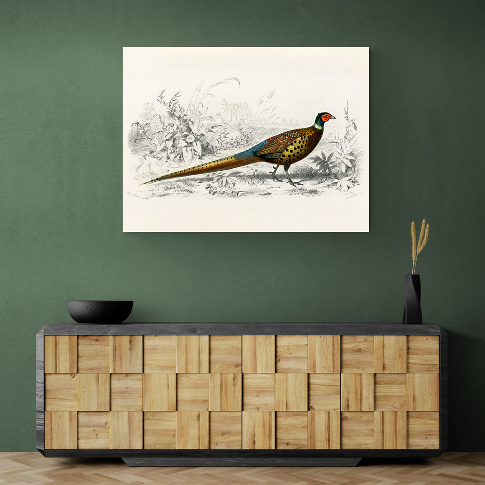 Vintage Ring-necked Pheasant