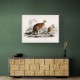 Vintage Red Kangaroo