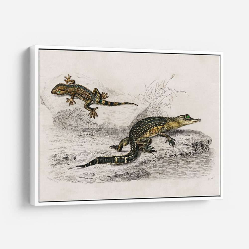 Vintage Alligator Lilfords Wall Lizard