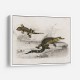 Vintage Alligator Lilfords Wall Lizard