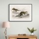 Vintage Alligator Lilfords Wall Lizard