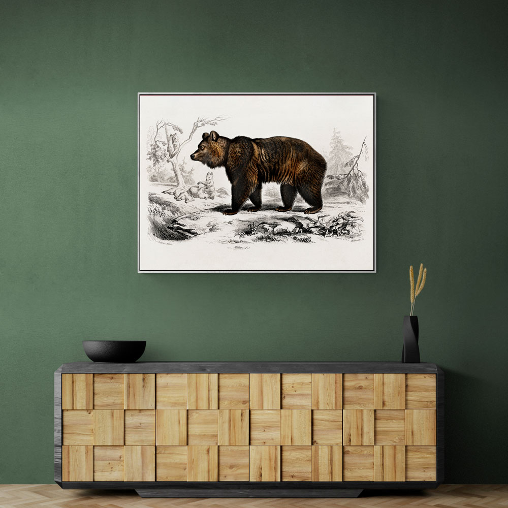 Vintage Brown Bear