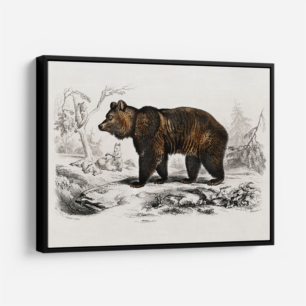 Vintage Brown Bear