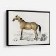 Vintage Horse Framed