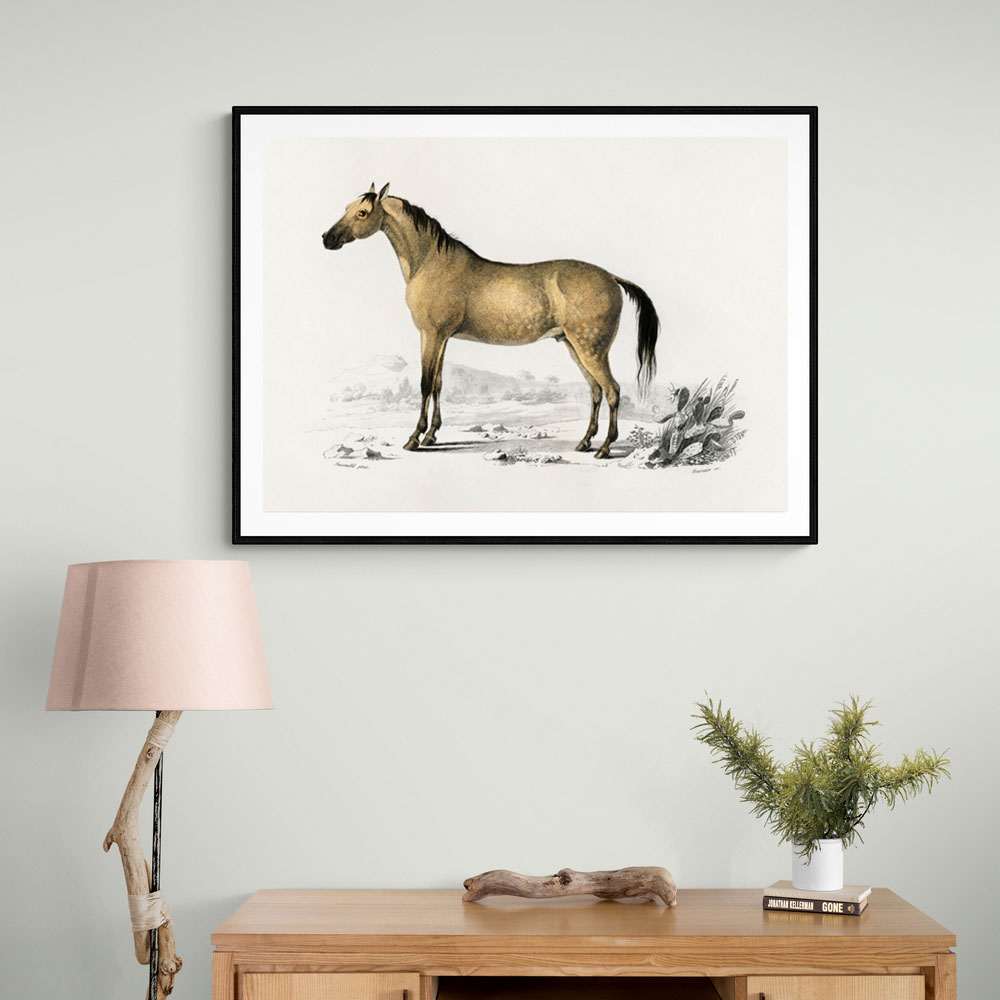 Vintage Horse Framed