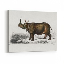 Vintage Indian Rhinoceros