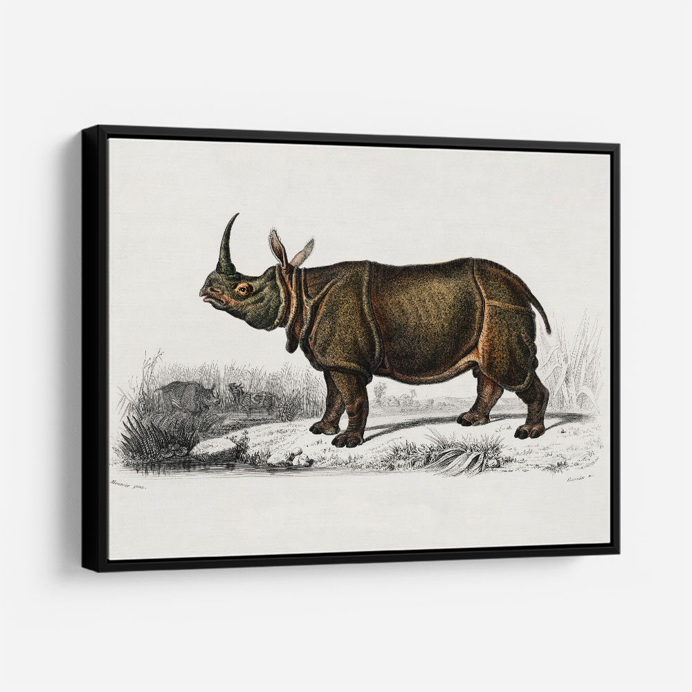 Vintage Indian Rhinoceros