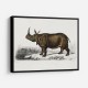 Vintage Indian Rhinoceros