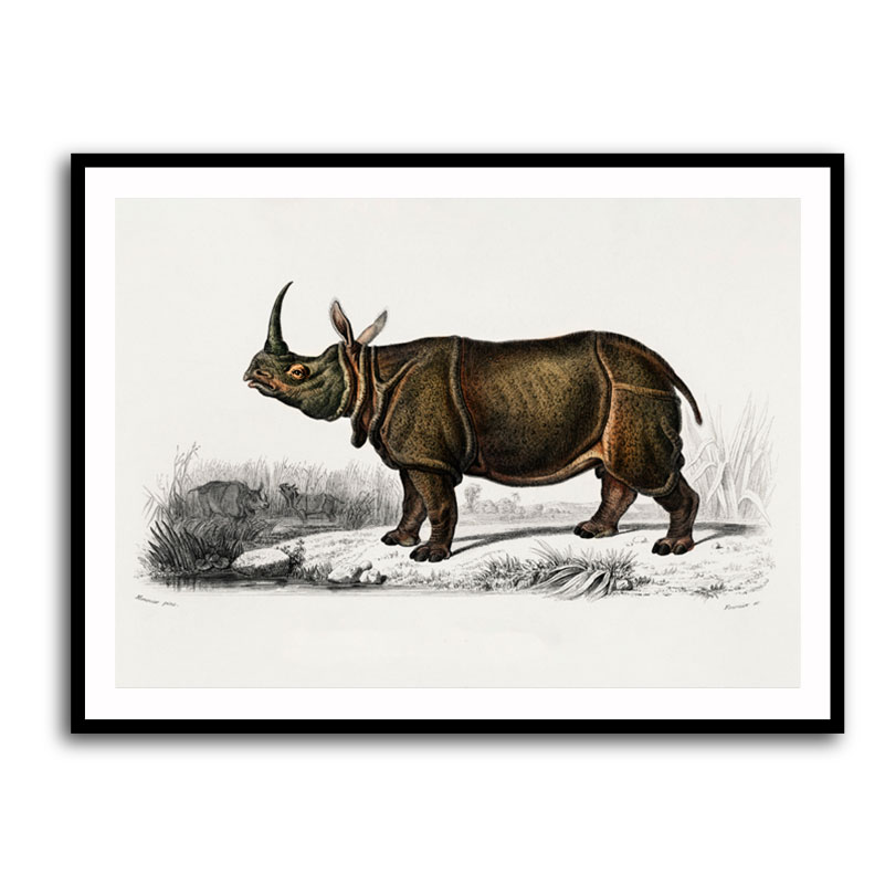 Vintage Indian Rhinoceros