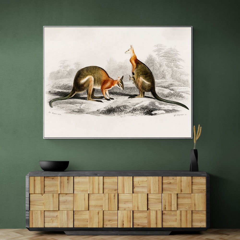 Vintage Macropus