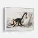 Vintage White-headed Capuchin