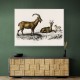 Vintage Wild Goat