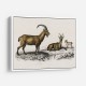 Vintage Wild Goat