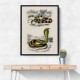 Vintage Coral Snake and Egyptian Cobra
