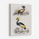 Vintage Grue and Ibis