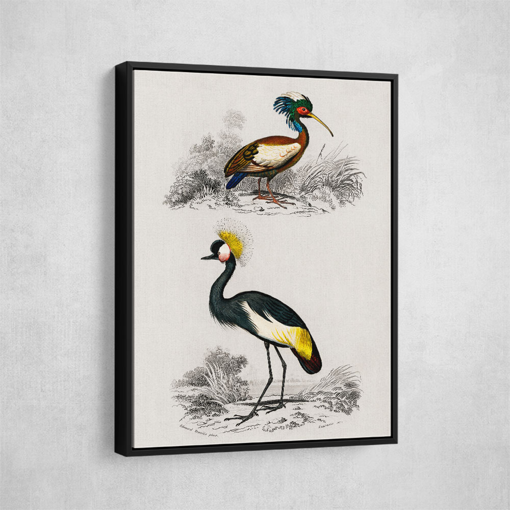 Vintage Grue and Ibis