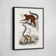 Vintage Lemur