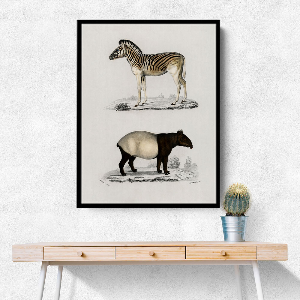 Vintage Malayan Tapir and Mountain Zebra