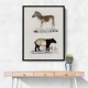 Vintage Malayan Tapir and Mountain Zebra