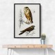 Vintage Owl