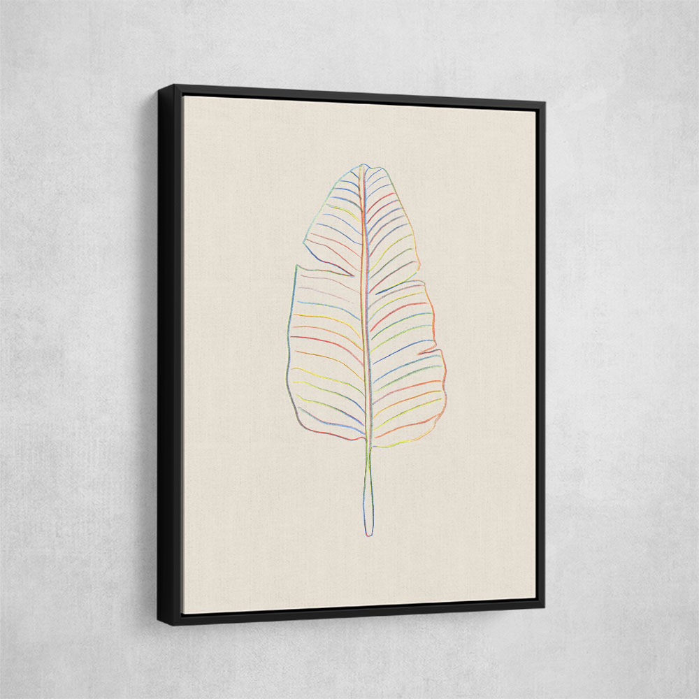 Banana Rainbow Leaf