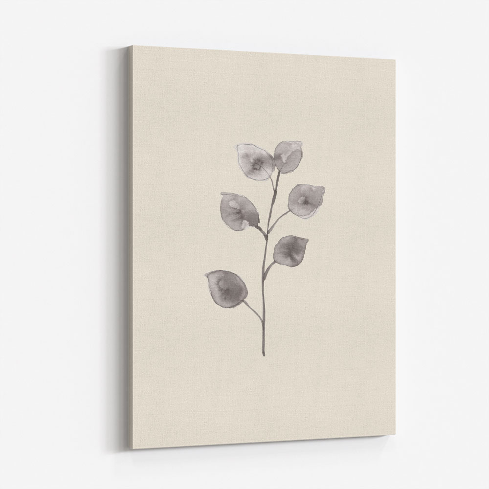 Eucalyptus Twig