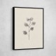Eucalyptus Twig
