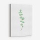 Branch