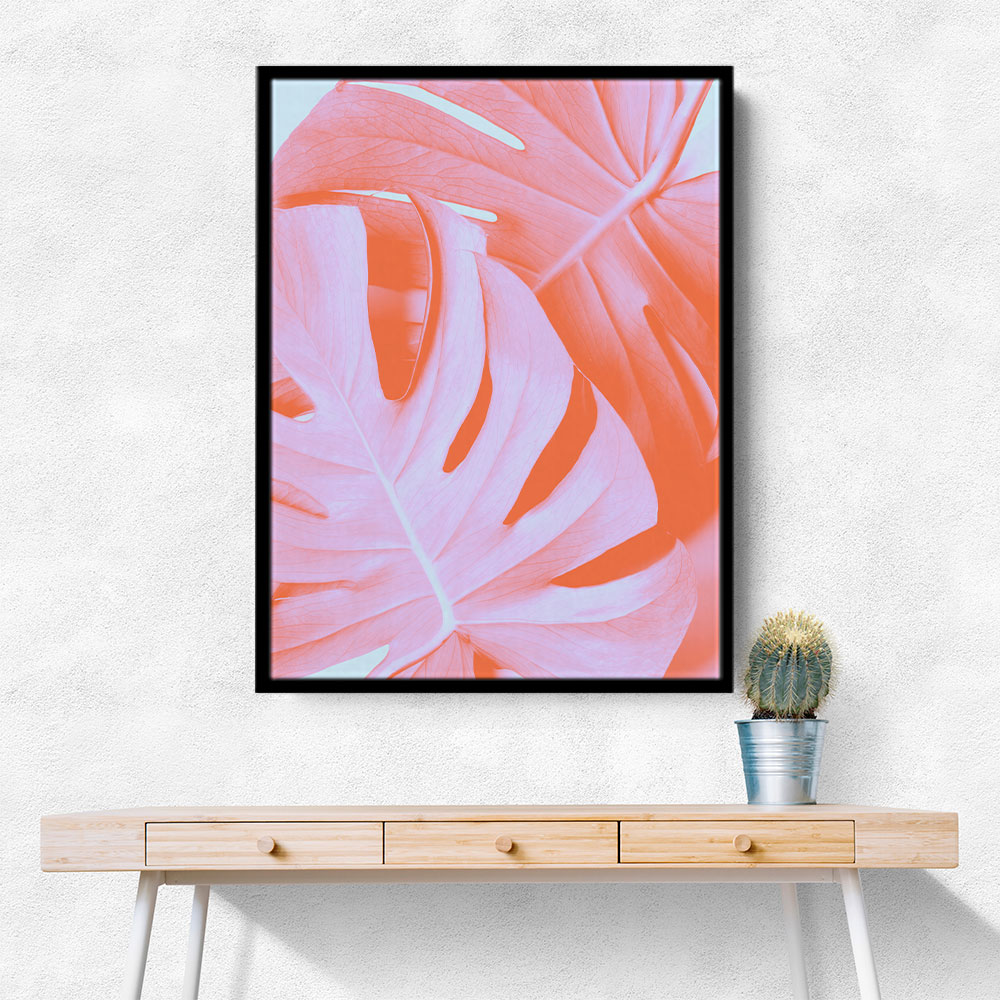 Monstera Orange 03