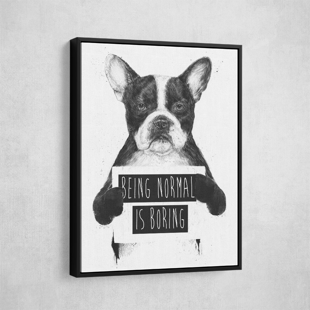 Being Normal is Boring