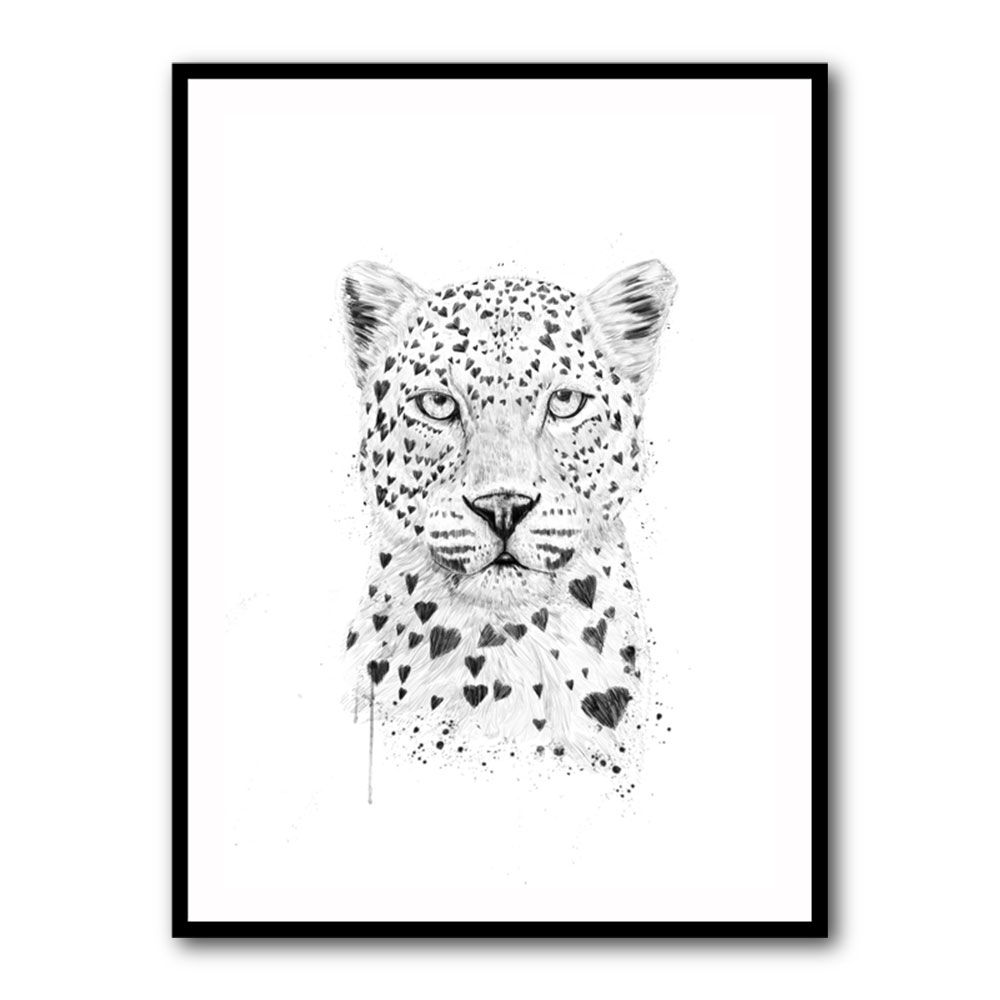 Lovely Leopard