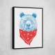 Wild Bear Color